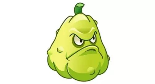 no.2 冬瓜 – 夏日补水第一瓜