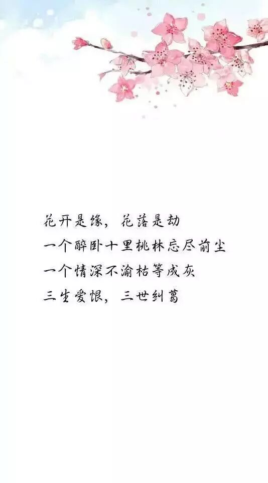 十条句子 空中人 看不透 花的骨与魂 零落成风 也要遗香而逝 美文心灵语录 微信公众号文章阅读 Wemp