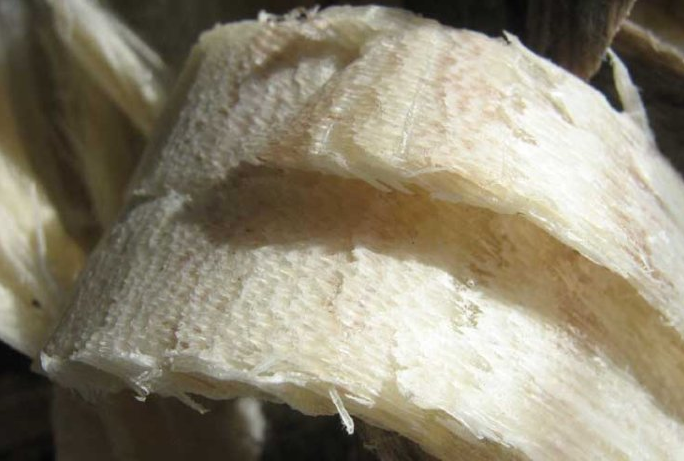 犀牛角的种类及鉴别方法有这一篇就够了