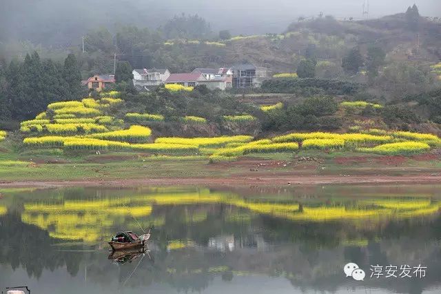 路线:千岛湖-界首乡-严家村-鳌山村(距城区自驾车程30-40分