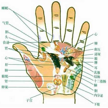 手心痣相图解 右手图片