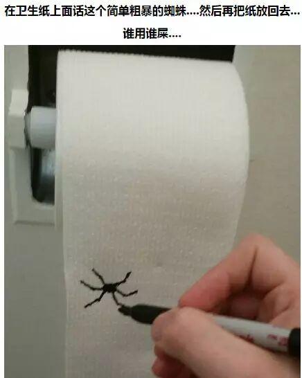 在卫生纸上面这个简单粗暴的蜘蛛，然后再把纸放回去