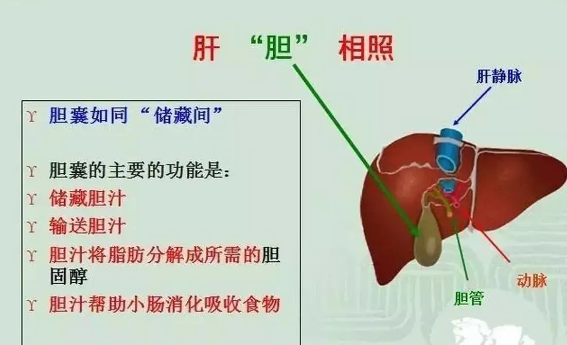 一泡尿读音