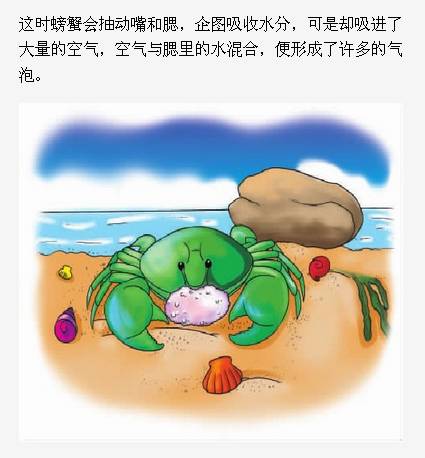 【宝听科学小课堂】螃蟹为什么会吐泡泡?