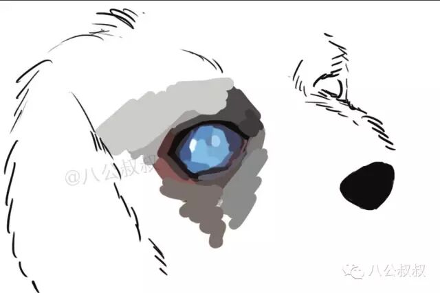 漲姿勢 狗狗也會有白內障青光眼之類的眼疾嗎 八公叔叔 微文庫