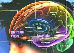 如何发送宇宙同频的脑电波，随时向宇宙下订单？