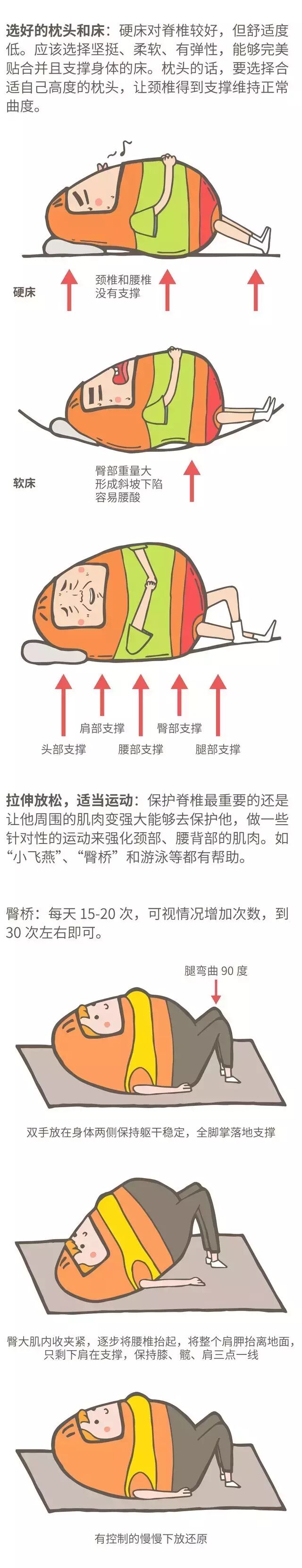 健康科普丨现代人是如何一步步搞垮自己的脊椎的