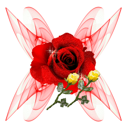 400_400gif 动态图 动图