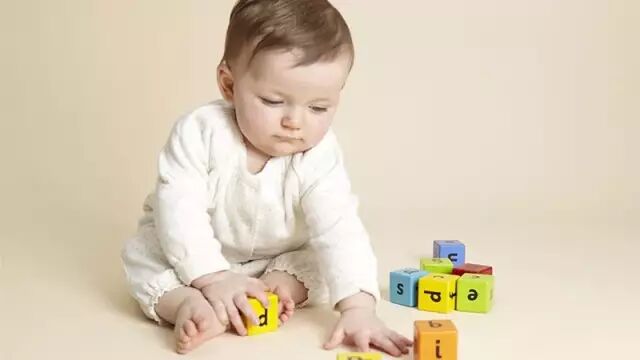 早教班——报，还是不报？