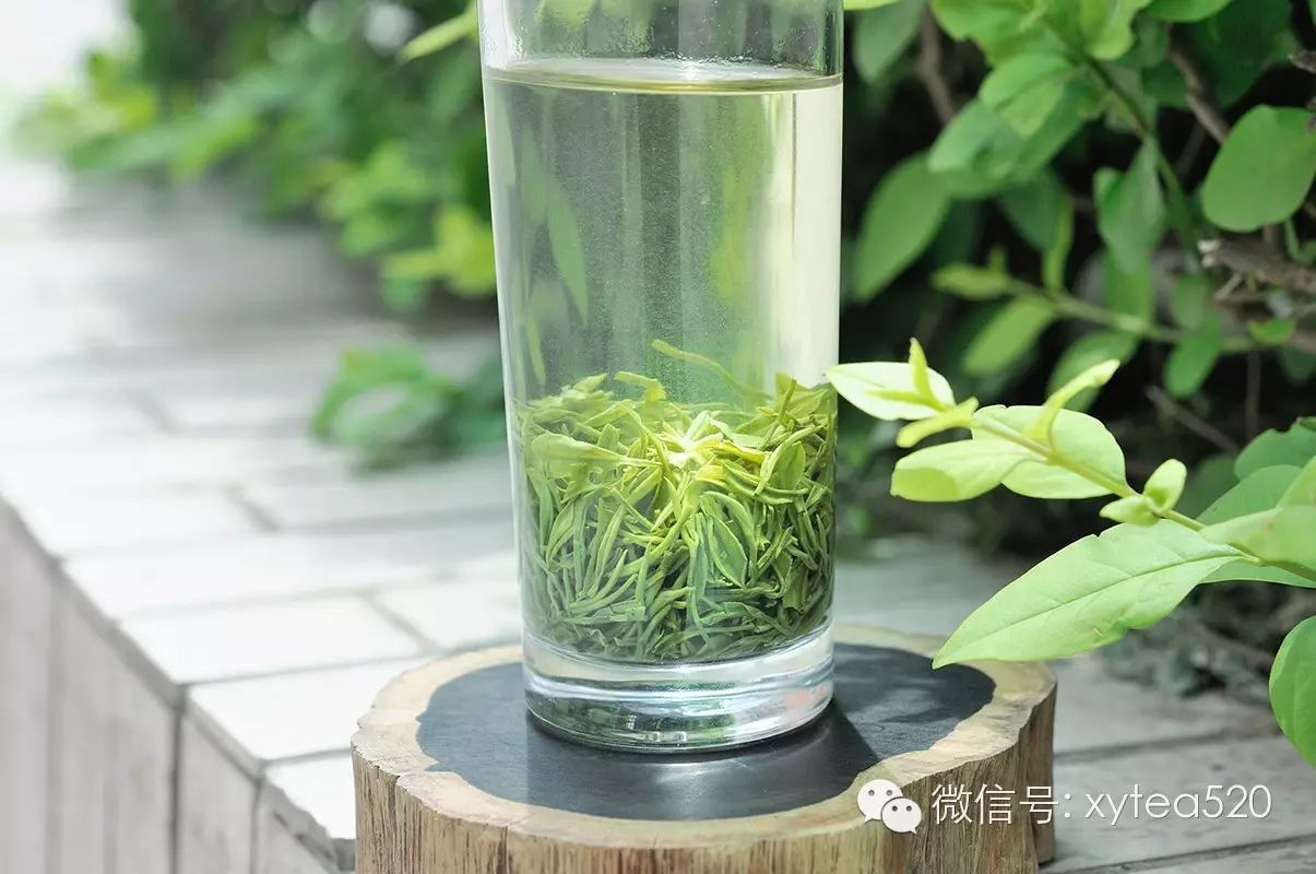 品茶意境02以茶育德|广西优质茶叶交流组