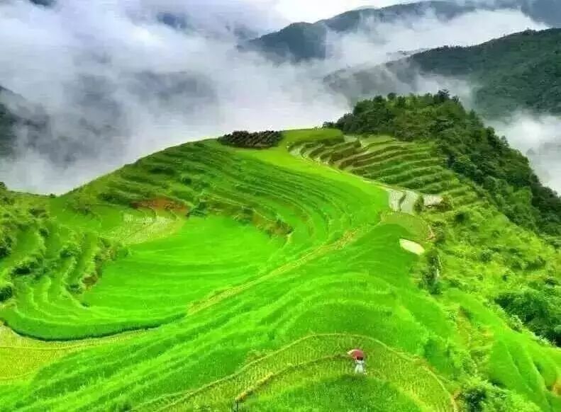 【投票】英都镇仕林村"最美村落"网上投票开始啦!