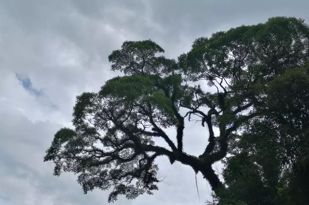 【投票】英都镇仕林村"最美村落"网上投票开始啦!