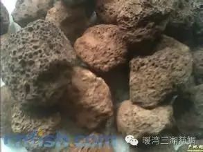 青千层石鱼缸造景_松皮石鱼缸造景_60cm鱼缸 青龙石 造景