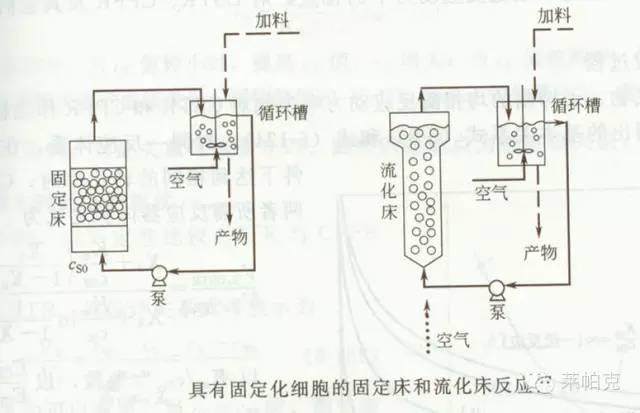 反应器结构以及工作原理图解(图12)