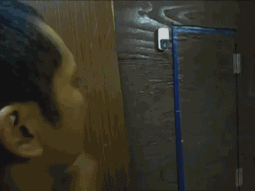 傲娇柴犬和屌丝男的生活日常