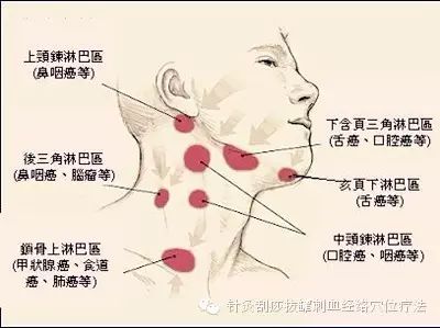 這三處的淋巴決定了你99的疾病