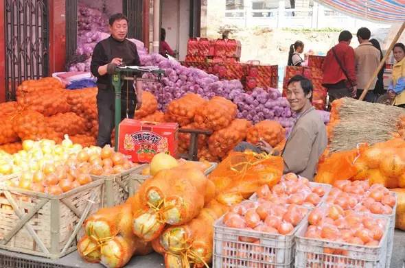 重庆宠物批发市场_批发宠物重庆市场有哪些_重庆市宠物批发市场