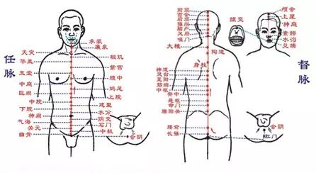 带脉专业知识与话术