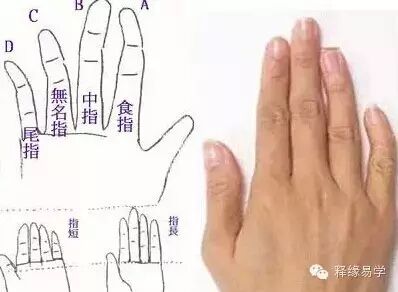 手相：通过手指弯曲程度看一个人富贵性格
