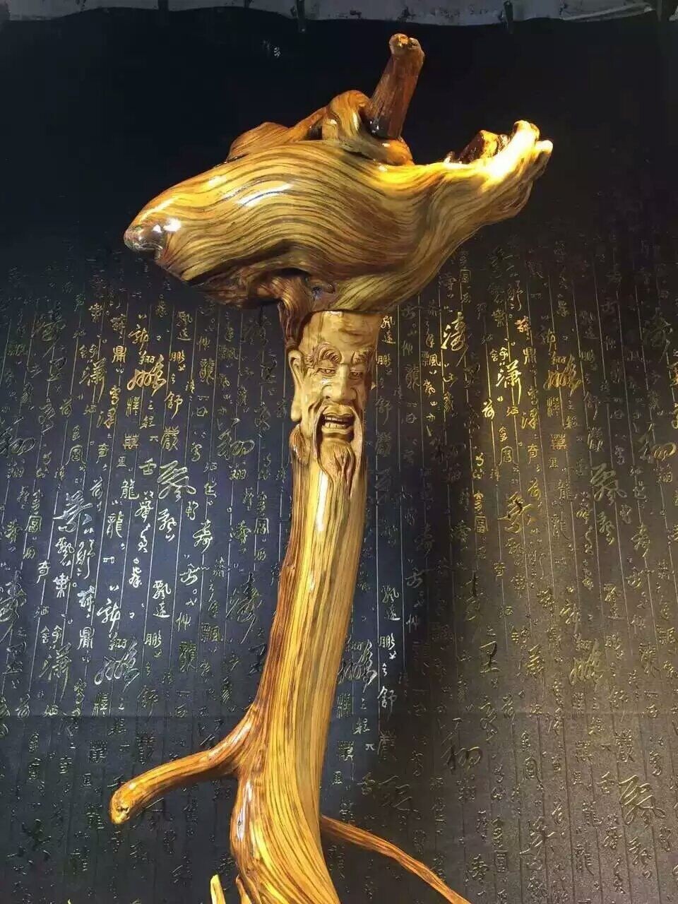 木材百科带你认识崖柏