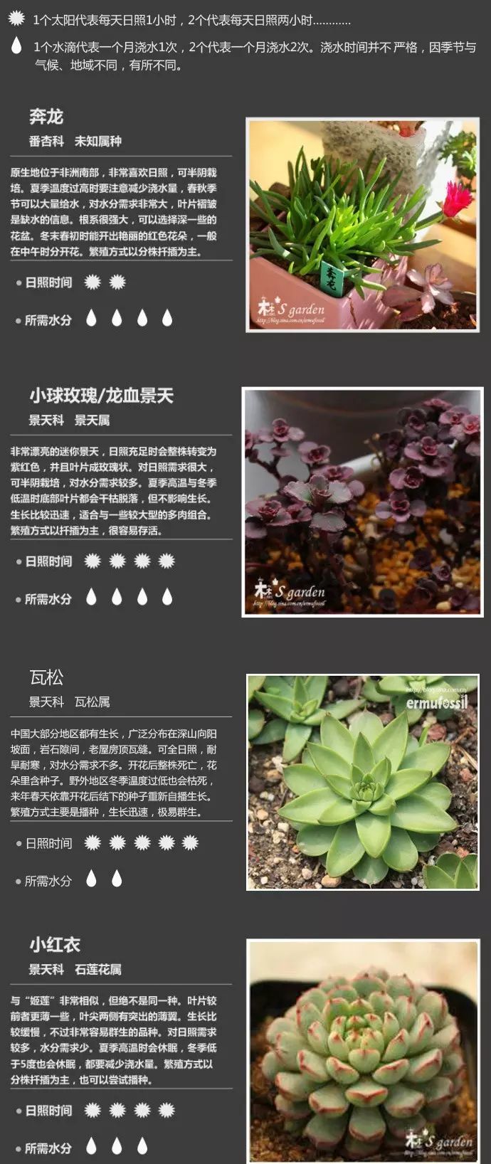 这些有毒的多肉植物你家有没有!