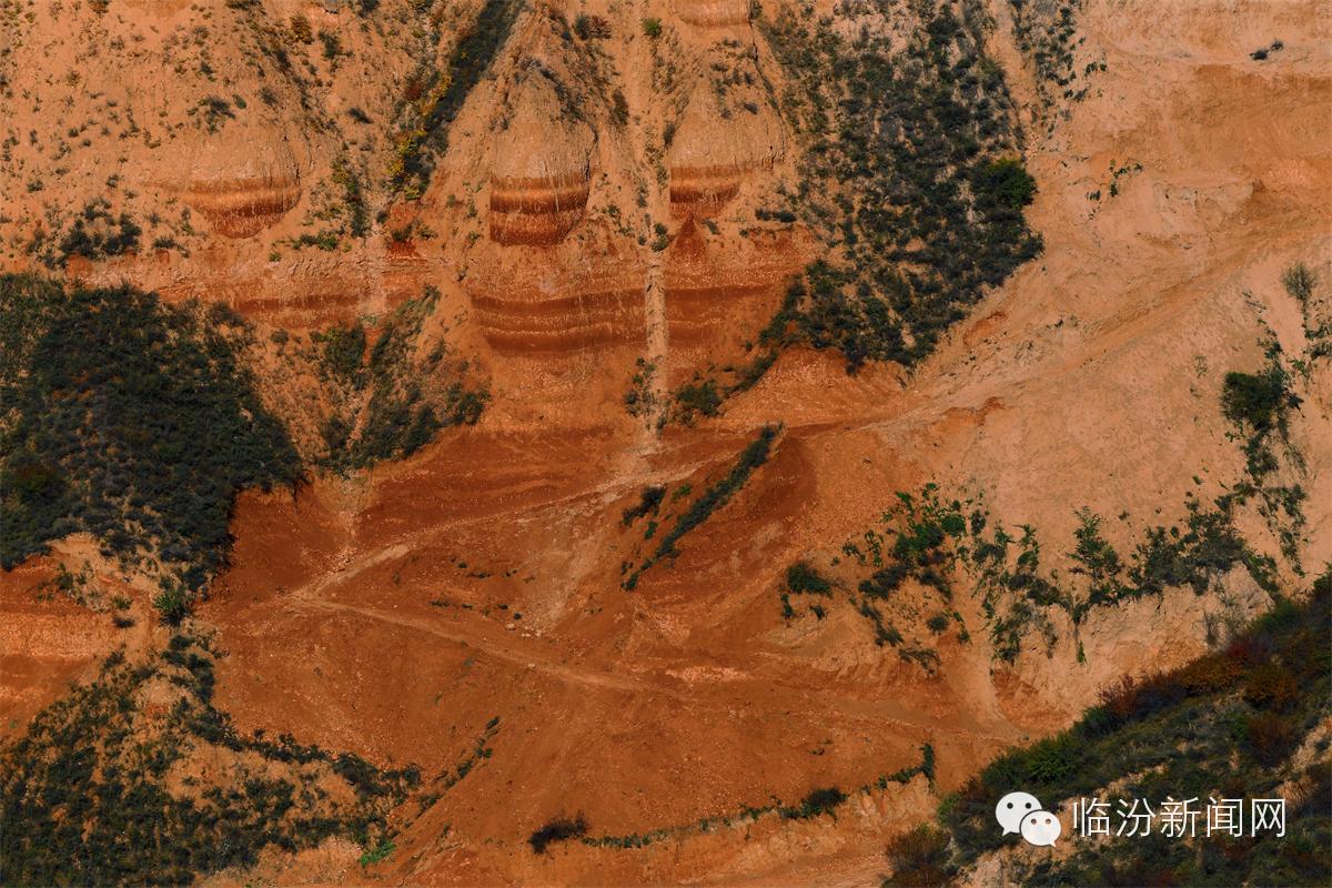 隰县论坛-临汾365论坛-临汾365网