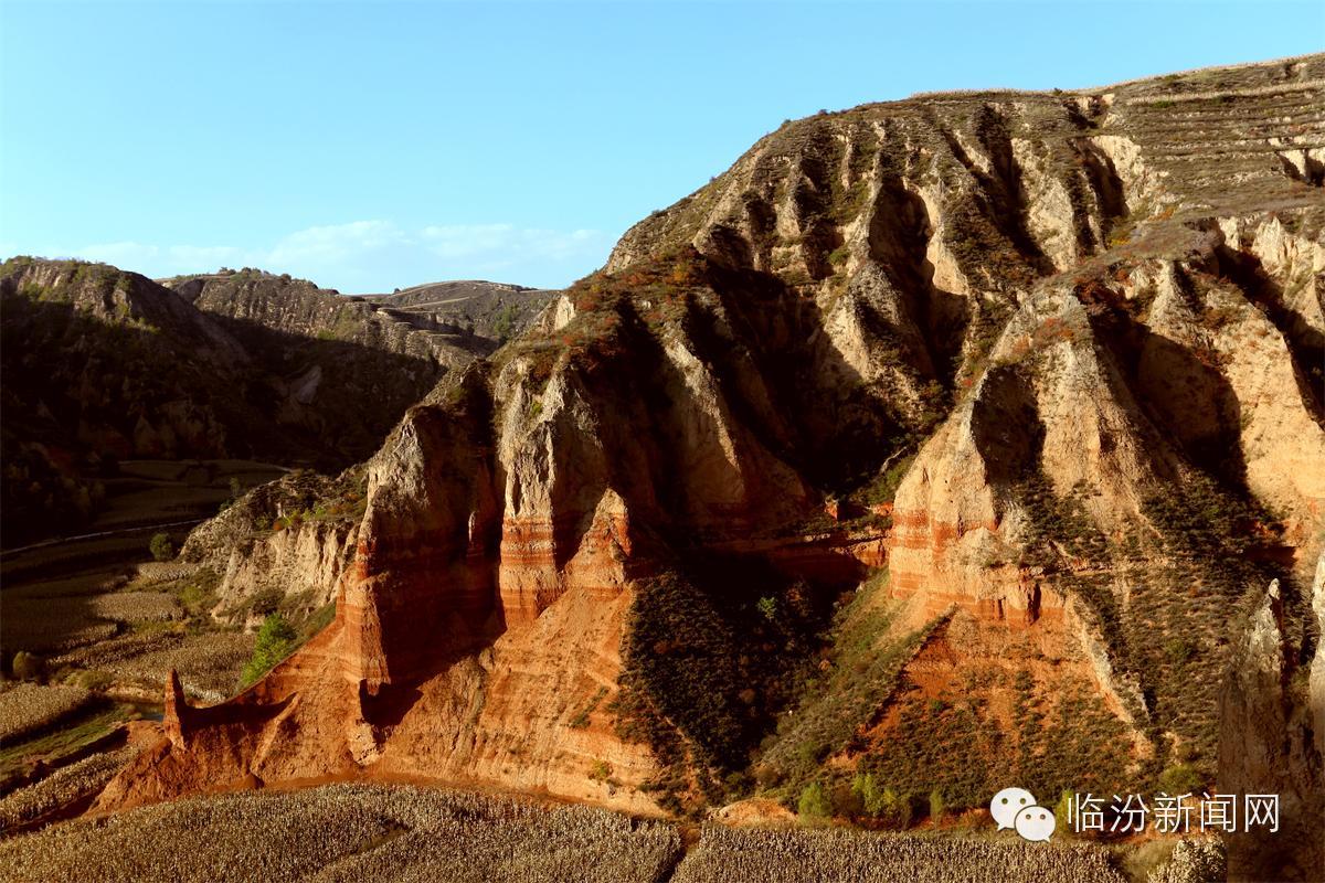 隰县论坛-临汾365论坛-临汾365网