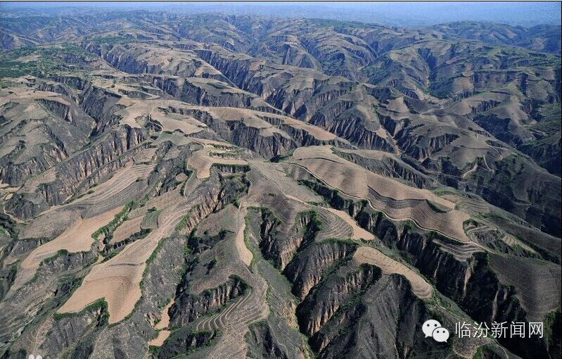 隰县论坛-临汾365论坛-临汾365网