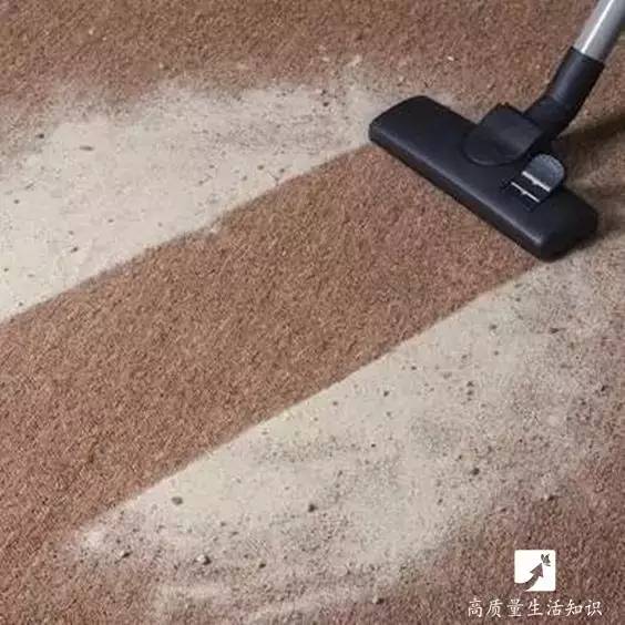 最后用吸尘器把地毯吸干净就可以了
