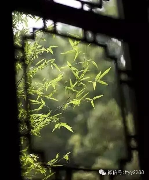 朱窗,碧窗,碧纱窗,琐窗,红窗,绿窗,西窗,晓窗,烛窗,云窗,雾窗,格子窗