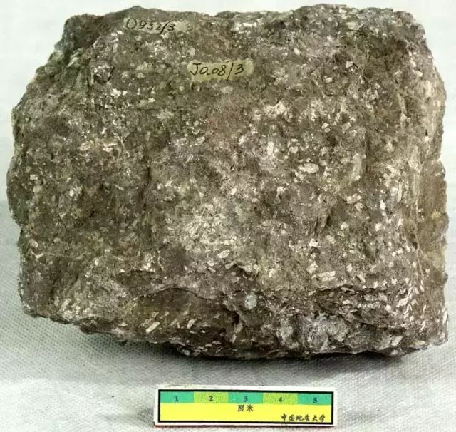 照片名稱:黑雲母安山岩 biotite andesite岩石灰紫色,斑狀結構,斑晶為