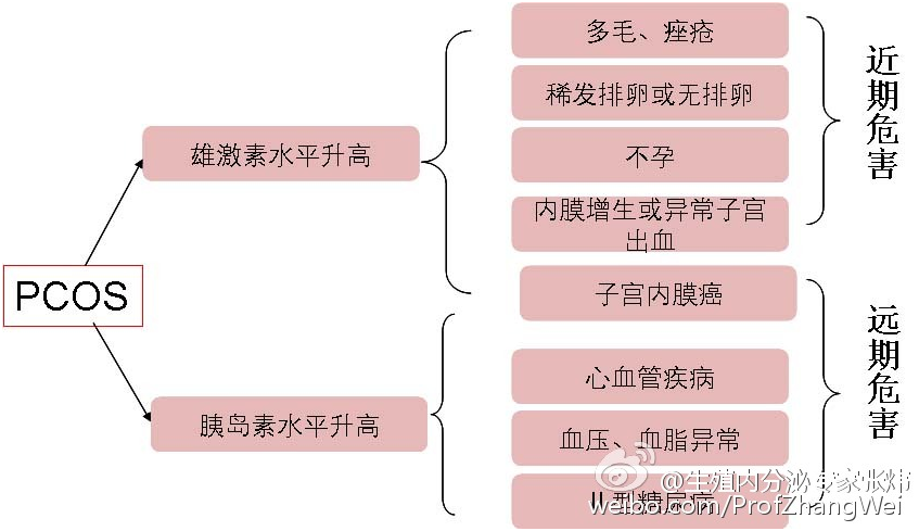 健康女性月经周期性激素变化(女性月经周期激素水平变化规律)-第2张图片-鲸幼网