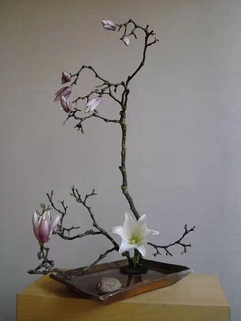 详解日本花道的流派