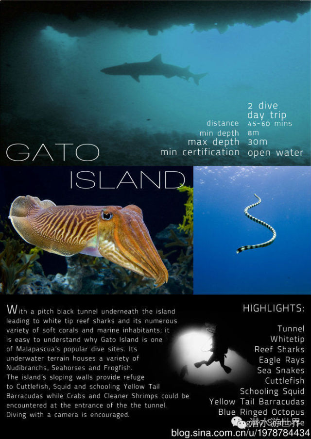 水晶透明_水晶英文名怎么寫_水晶般透明的英文