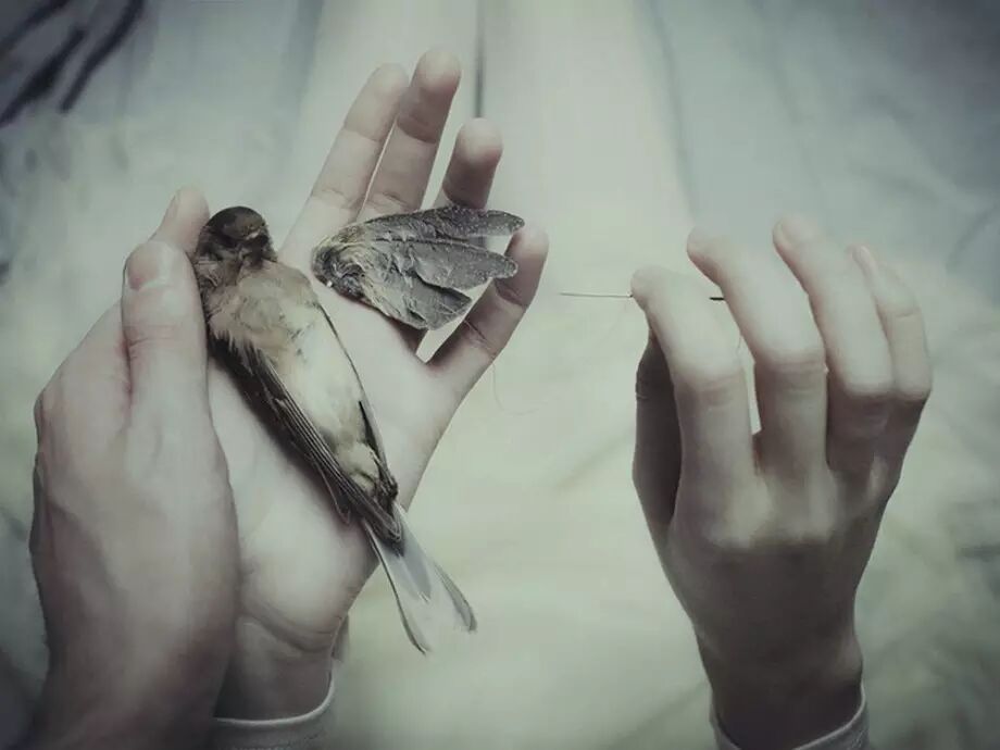 沉沦,浪漫,忧伤,性爱,脆弱与敏感,沉迷与挣扎…|lauramakabresku唯美