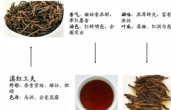 祁门红茶以"香高,味醇,形美,色艳"四绝驰名于世,位列世界三大高香红茶