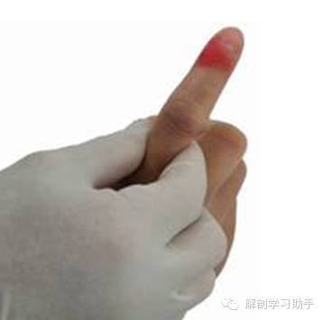 动脉什么压迫止血指压止血法_https://www.jmylbn.com_新闻资讯_第8张