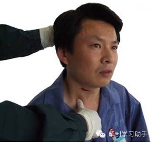 动脉什么压迫止血指压止血法_https://www.jmylbn.com_新闻资讯_第2张