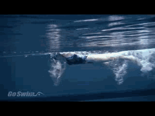 北京游泳教练培训