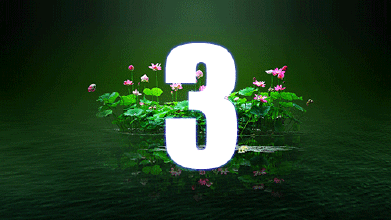 倒计时还有3天还不来把认筹优惠拿走?