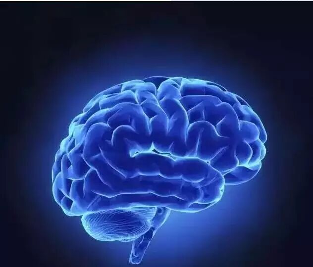 黑茶董事提醒大家：不要等身体器官退化再喝黑茶，那就来不及了！