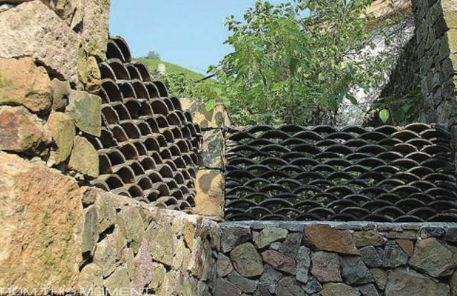 农家小院篱笆墙,怎么建才有味道_河北省邯郸市肥乡区屯庄营乡程寨村