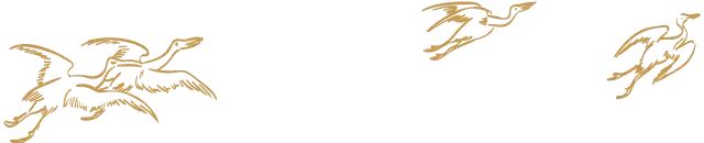 假的通假字_假字来源_通假字的由来