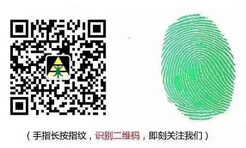 猫猫这么可爱,为什么被迫沦为犯罪工具?-微信头条网 猫猫这么可爱,为什么被迫沦为犯罪工具?