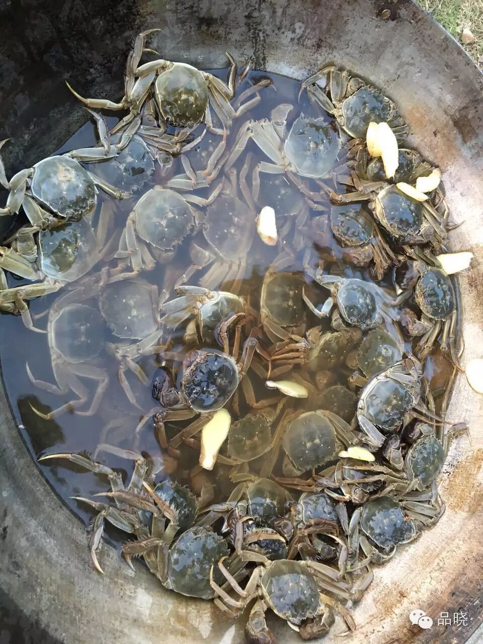 免费领回家!99号中奖申请者在哪儿?