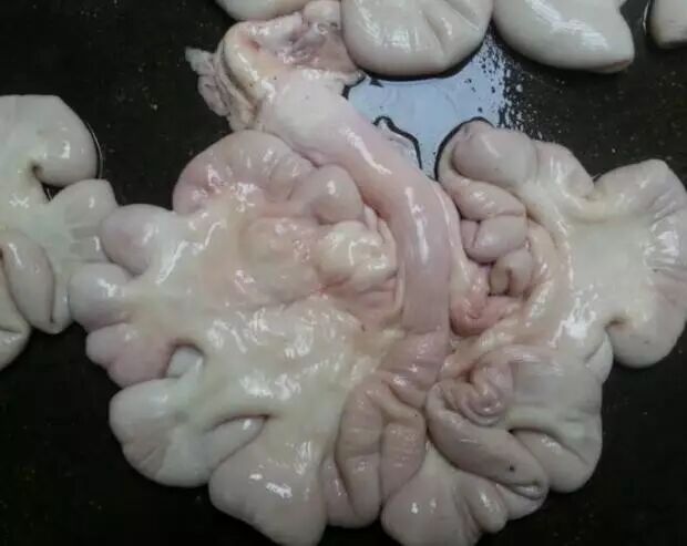 3猪花肠很多人喜欢吃猪花肠但不知道它到底是猪身上的哪个部位,其实花