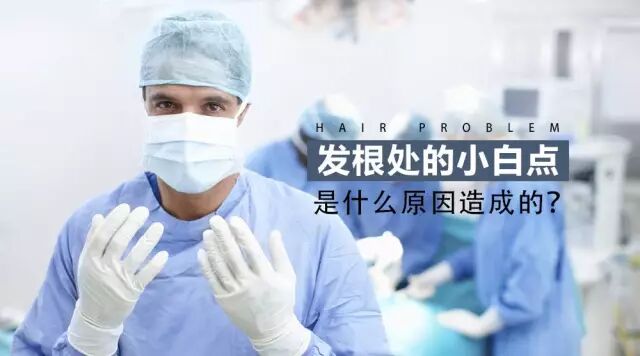 脱落的头发根部有小白点，那是毛囊么？