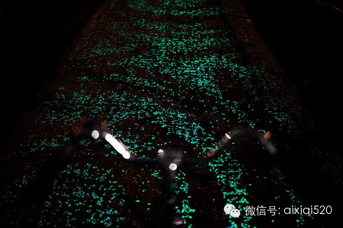 夜光自行车道源自梵高名画starrynight