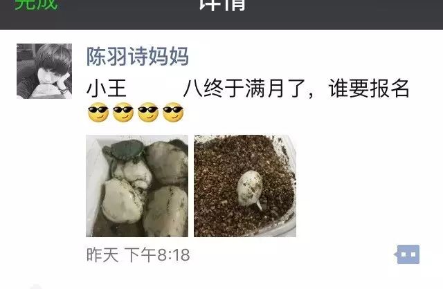 绿豆发芽观察日记8天_绿豆发芽观察日记三则_观察日记绿豆发芽200字