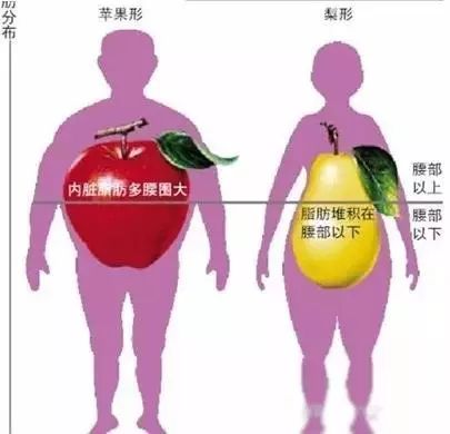 看完这个，你会用生命去减肥！